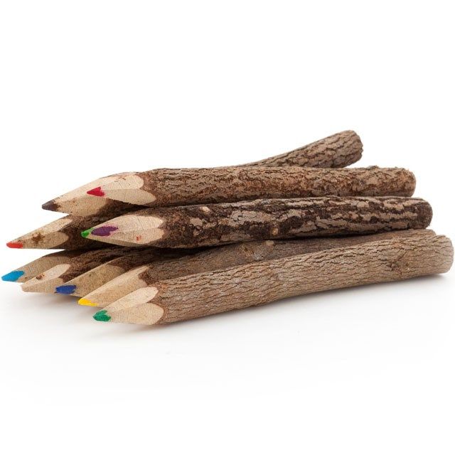 SET OF 10 TWIG PENCILS