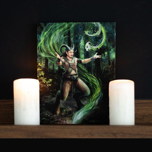 19x25cm EARTH ELEMENT WIZARD CANVAS PLAQUE BY ANNE STOKES