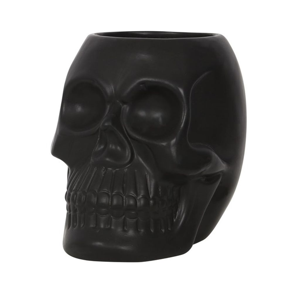 BLACK SKULL POT PLANT