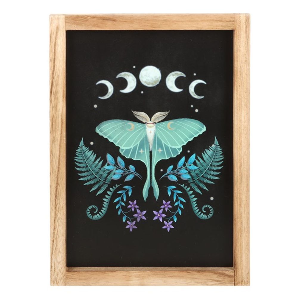 LUNA MOTH WOODEN FRAMED WALL ART