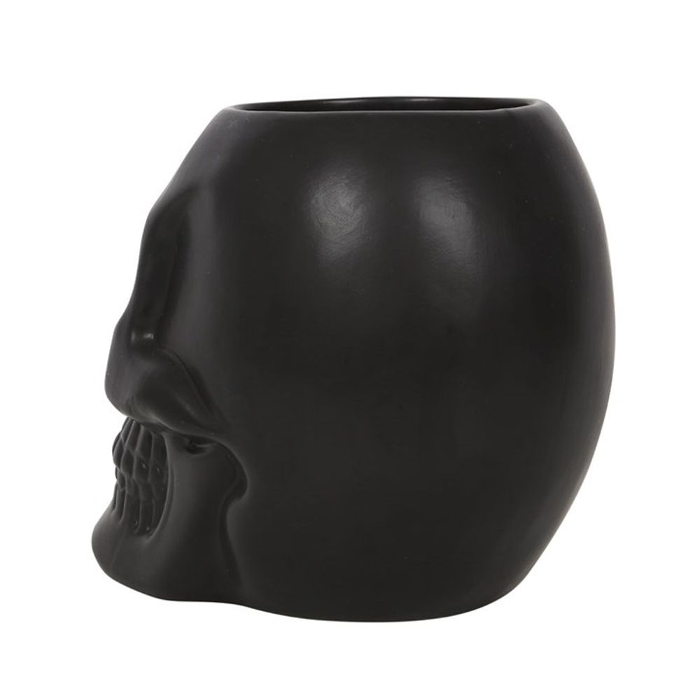 BLACK SKULL POT PLANT