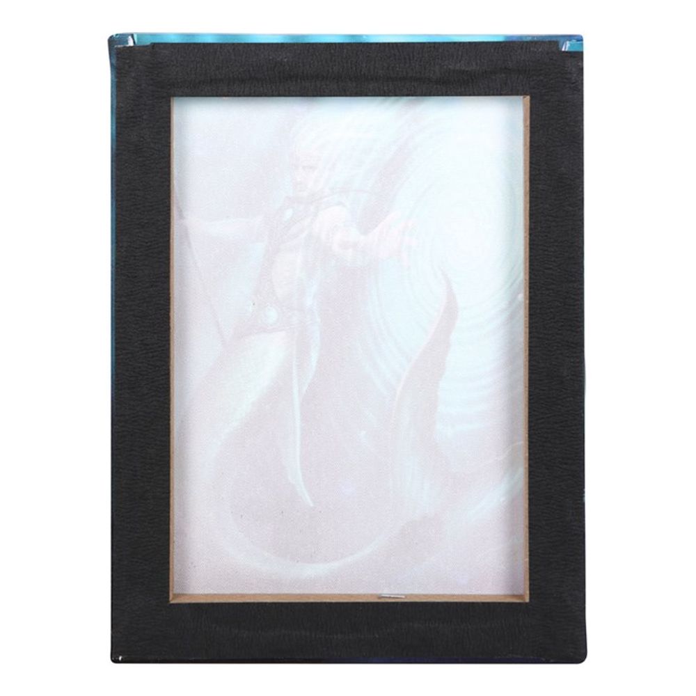 19x25cm WATER ELEMENT WIZARD CANVAS PLAQUE BY ANNE STOKES