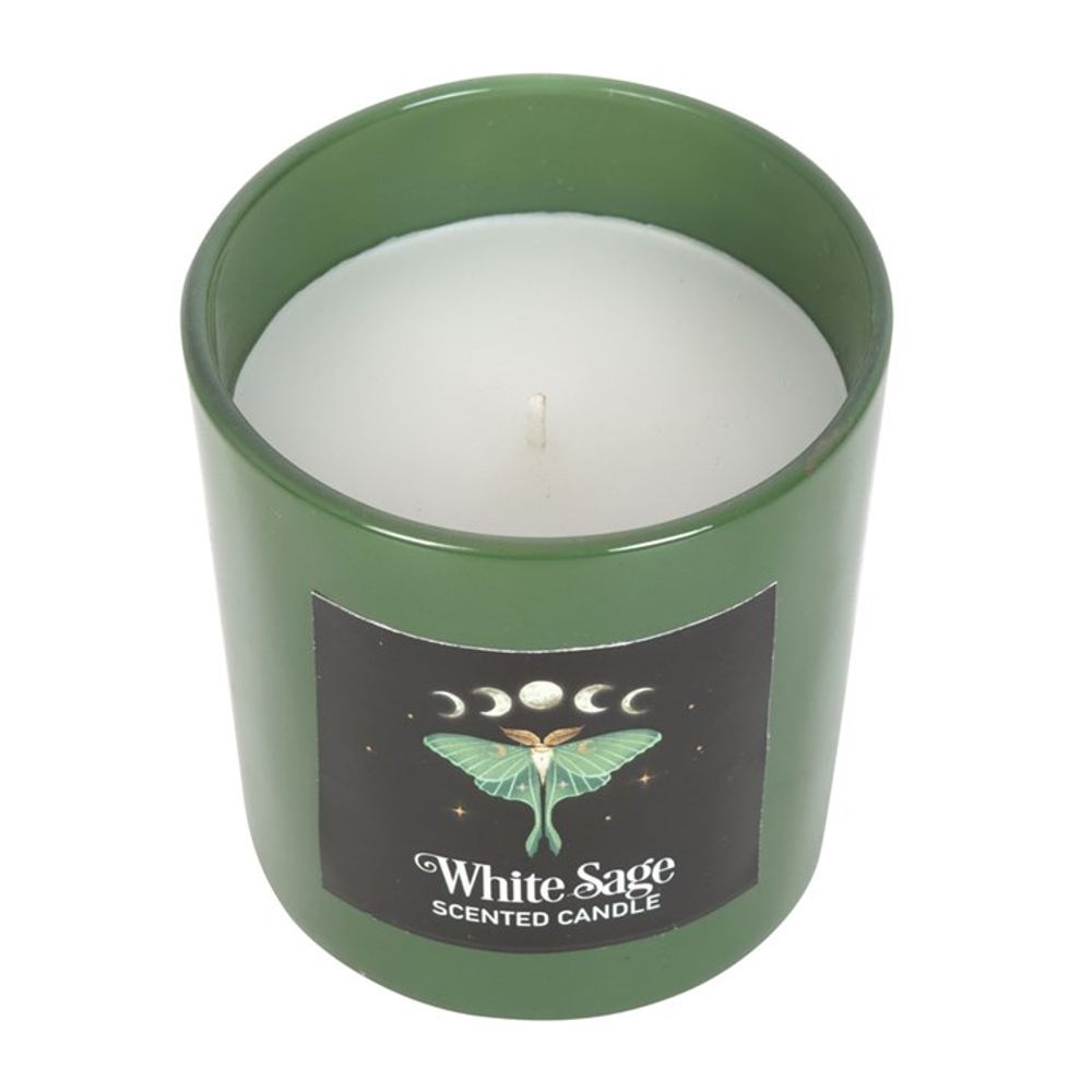 LUNA MOTH WHITE SAGE CANDLE