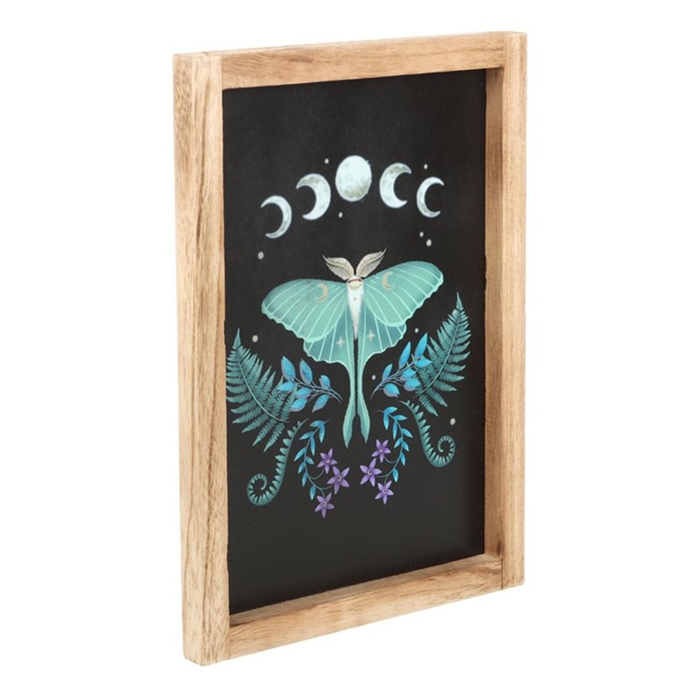 LUNA MOTH WOODEN FRAMED WALL ART