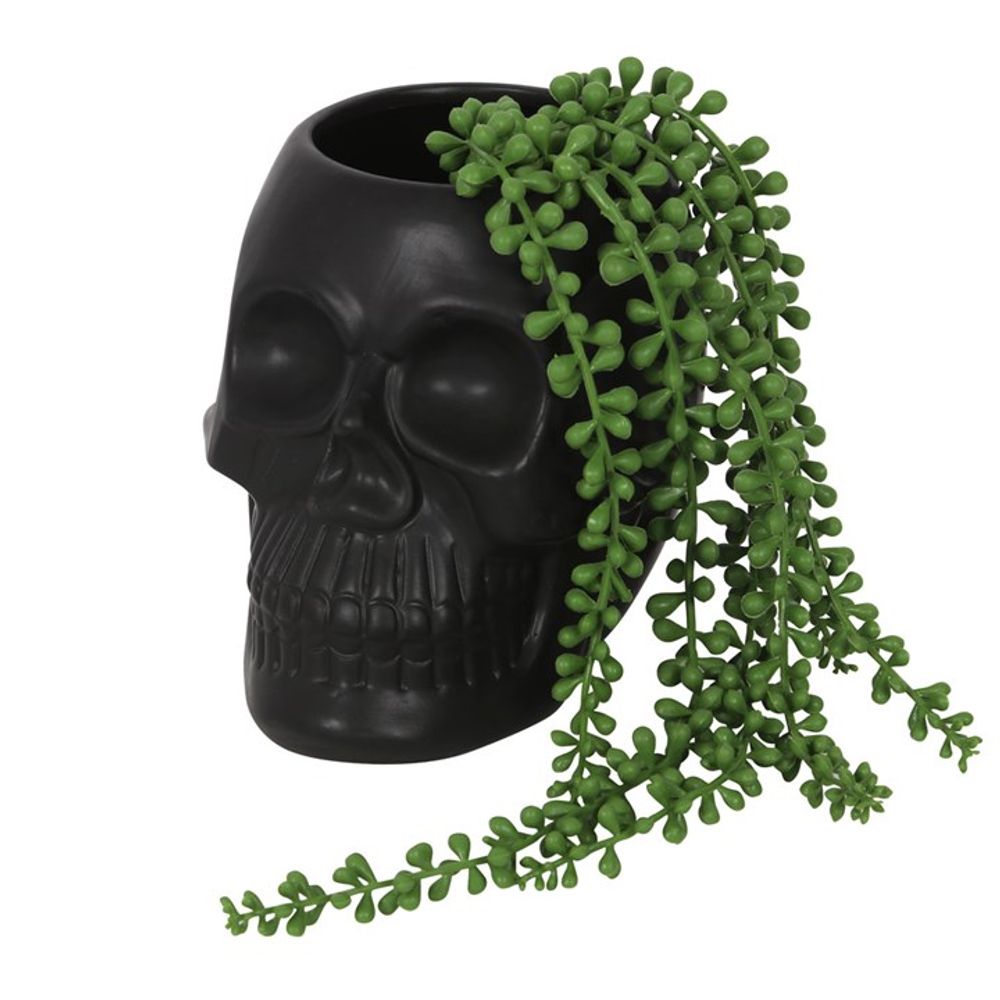 BLACK SKULL POT PLANT